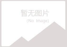 重庆南岸夏岚金属有限公司